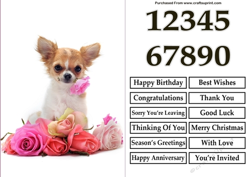 Chihuahua with flowers A5 Quick Card