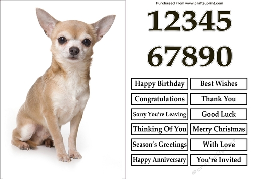 Shorthair Chihuahua A5 Quick Card