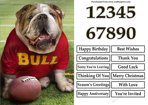 Bulldog A5 Quick Card