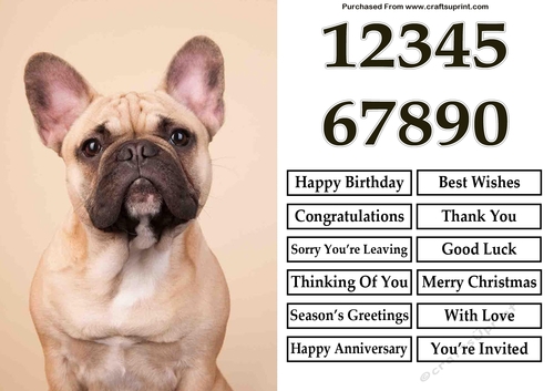 French Bulldog A5 Quick Card