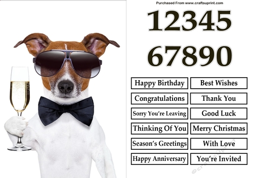Funny Champagne Dog A5 Quick Card