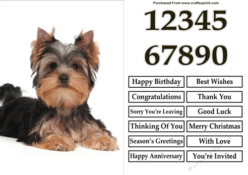 Yorkshire Terrier A5 Quick Card
