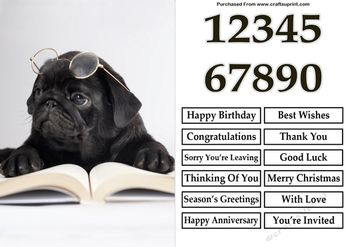 Reading Pug Puppy A5 Quick Card