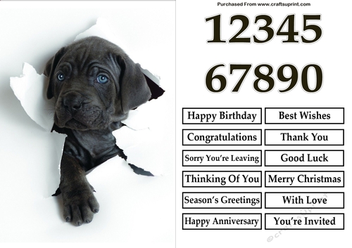 Puppy Breaking Out A5 Quick Card