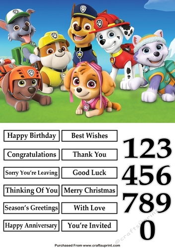 Paw Patrol Pups Characters 2 A5 Quick Card