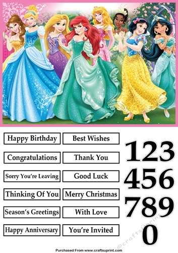 Princesses A5 Quick Card
