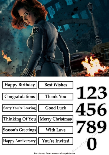 The Avengers Black Widow 2 Quick Card