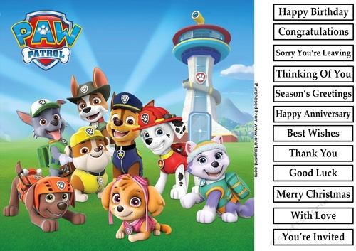 Paw Patrol 2 8x8 Quick Card