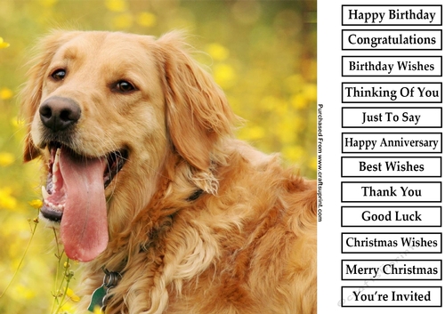 Cute Puppy 4 8x8 Quick Card