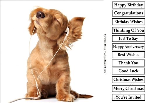 Cute Puppy 6 8x8 Quick Card