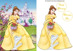 Belle Beauty And The Beast A5 Decoupage