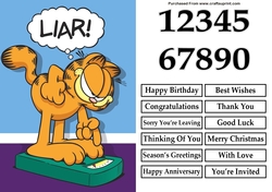 Garfield 5 A5 Quick Card