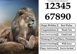 Lion A5 Quick Card