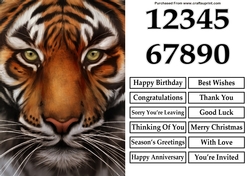 Tiger Face A5 Quick Card