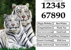 White Tigers A5 Quick Card