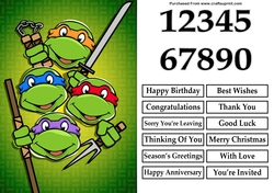 Teenage Mutant Ninja Turtles A5 Quick Card