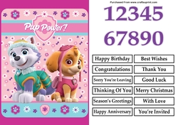 Paw Patrol Skye and Everest Pup Power Birthday A5 Decoupage
