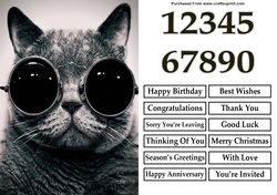 Cat With Sunglasses A5 Quick Card