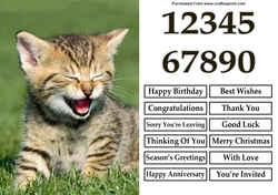 Laughing Kitten A5 Quick Card