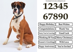 Boxer Dog Sitting A5 Quick Card