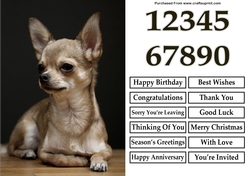 Sitting Chihuahua A5 Quick Card