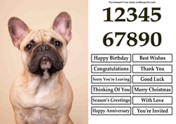 French Bulldog A5 Quick Card