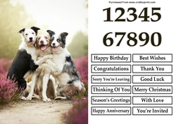 Cuddling Dogs A5 Quick Card