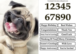 Smiling Pug A5 Quick Card
