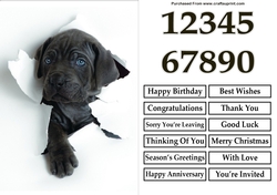 Puppy Breaking Out A5 Quick Card
