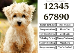 Cute Puppy A5 Quick Card