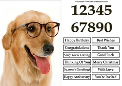 Smart Dog A5 Quick Card