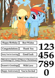 My Little Pony Applejack and Rainbow Dash Quick Card