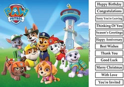 Paw Patrol 2 8x8 Quick Card