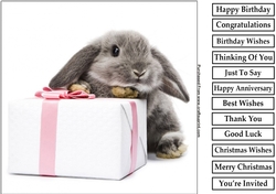 Cute Rabbit 2 8x8 Quick Card