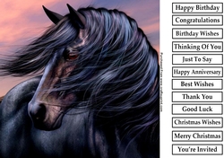 Horse 2 8x8 Quick Card