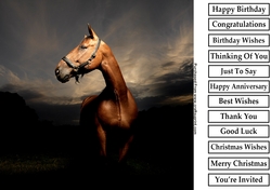 Horse 3 8x8 Quick Card