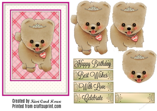 Lots Of Strawberry Tartan Birthday Pup