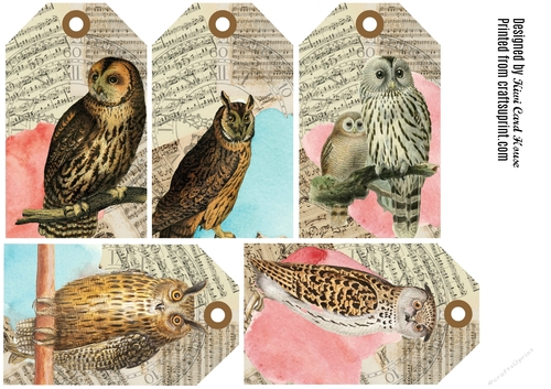 Vintage Owl Tags