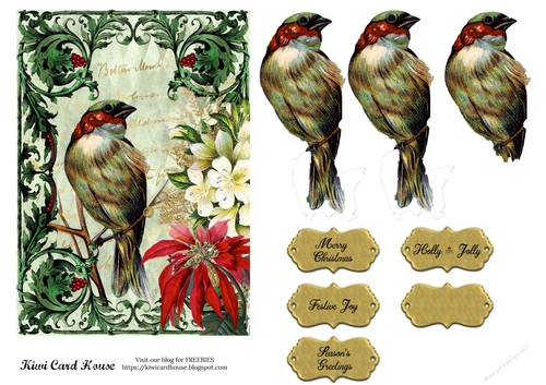 Joyful Christmas Bird 