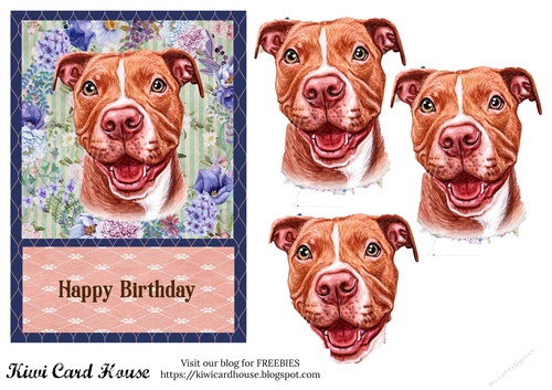 Happy Birthday Pit Bull