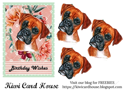 Birthday Wishes Boxer Dog