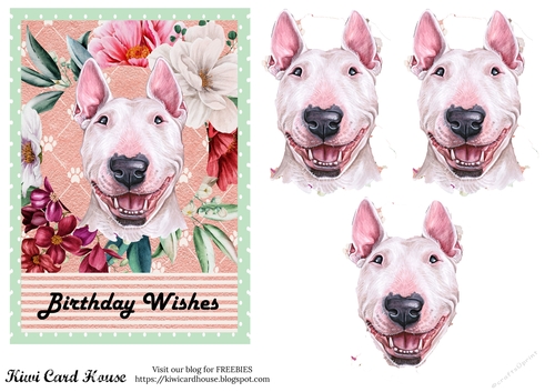 Birthday Wishes English Bull Terrier
