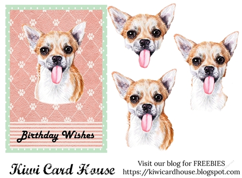 Birthday Wishes Chihuahua