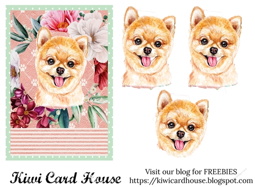 Birthday Wishes Pomeranian 