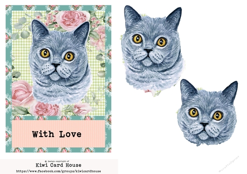 With Love British Shorthair