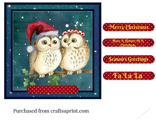 Hooting Great Christmas Owls