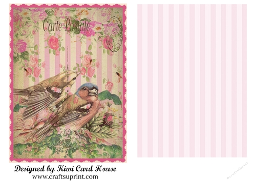 Vintage Bird Card Front and Liner