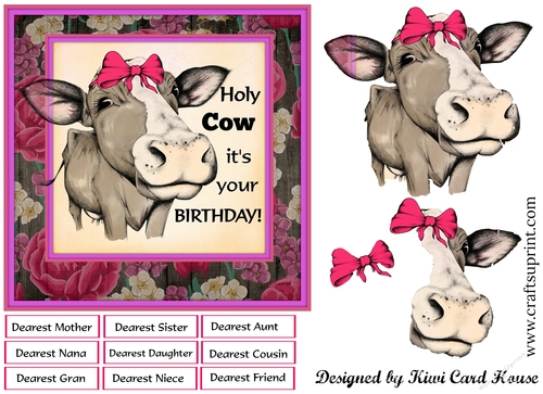 Holy Cow Decoupage Birthday Card Front