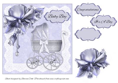 New Baby Boy Pram