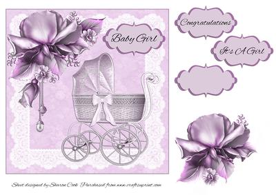 New Baby Girl Pram